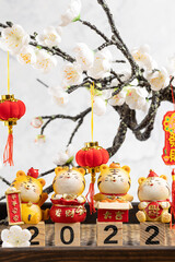 Year of the Tiger Spring Festival material pictures