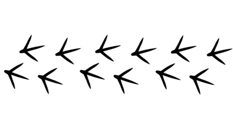Chicken bird track. Hen footprint steps in black color