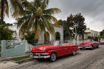 Old car on streets of Havana with beatiful palm trees in background. Cuba
