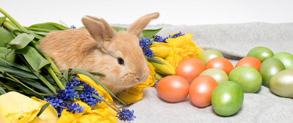 Long horizontal banner with Easter bunny, eggs and flowers to congratulate on the spring easter...