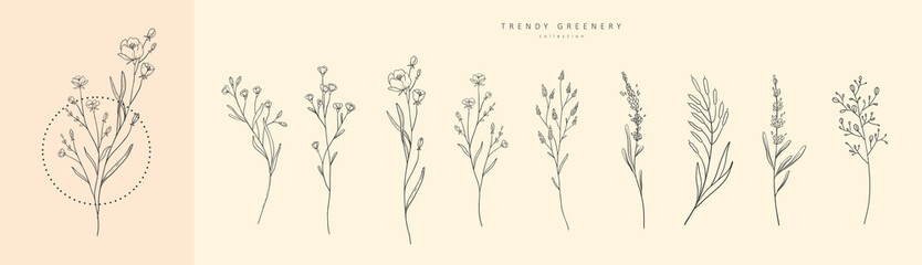 Fototapeta Floral branch and minimalist flowers for logo or tattoo. Hand drawn line wedding herb, elegant leaves for invitation save the date card. Botanical rustic trendy greenery obraz