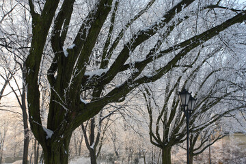 Zrodliska Park, Lodz, Poland