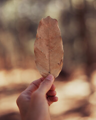 leaves in the hands, autumn background