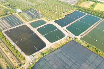 Aerial view of natural sea salt ponds, lake or sea. Farm field outdoor in traditional industry in Thailand. Asia culture. Agriculture irrigation. River reflection.