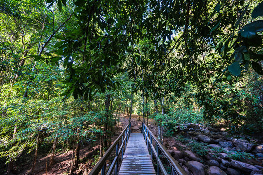 Nature trail at Sapan waterfall nan Thailand.Sapan is Small and tranquil Village in the mountain.