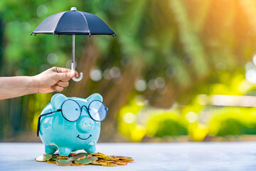 Piggy bank put on the gold coin and man hand hold the black umbrella for protect on sunlight in the...