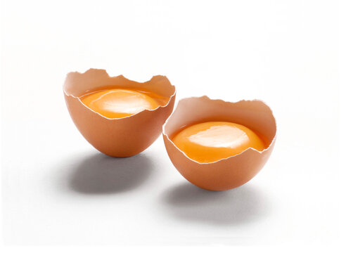 Opened egg yolk and eggshell isolated on white background.