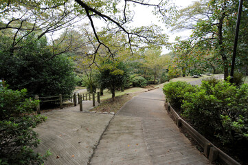 公園の道