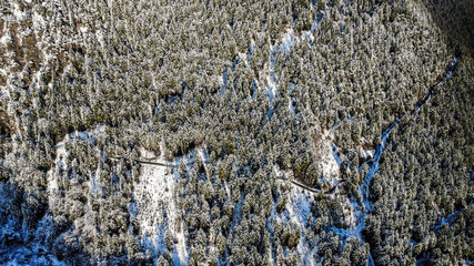 Landstra&szlig;e im Winter