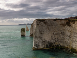 Fototapeta premium the pinnacles Ballard Down Isle of Purbeck Dorset England 