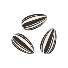 Sunflower Seeds vector. Sunflower Seeds on white background.