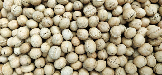 Background from fresh walnuts in the shell. Top view, flat lay. Banner.