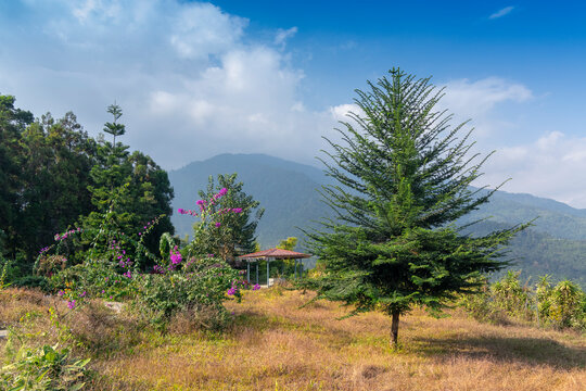 Dolgaon view point of Jhalong, Dooars - West Bengal , India. Blue sky and Himalayan mountain in the background. 