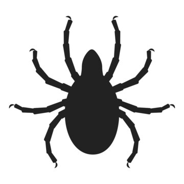 Dangerous tick icon, the cause of encephalitis. Ixadiosis, acariasis. Ixodes persulcatus, Ixodes ricinus. Insect, pest. Black silhouette, flat minimal design, isolated on white background, vector.