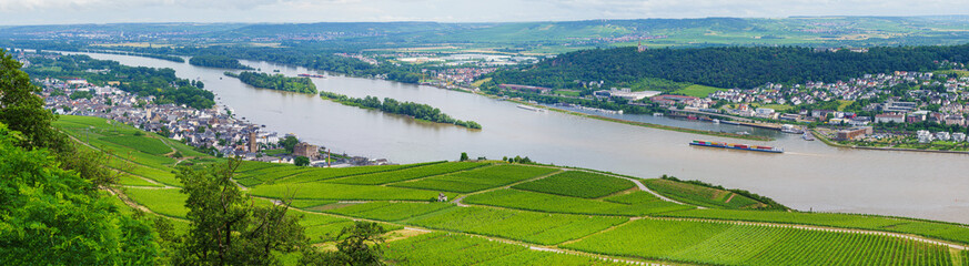 City of Bingen am Rhein from Rheingau. Wonderful Rhine landscape.