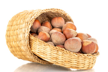 Several organic hazelnuts in a straw basket, close-up, isolated on white.