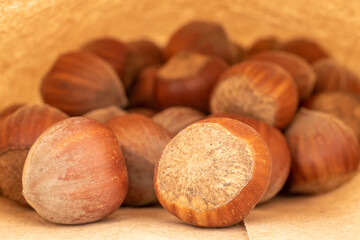Several organic hazelnuts in a paper bag, close-up.