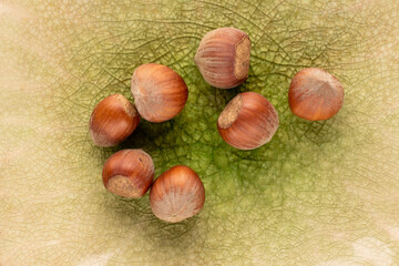 Several unpeeled hazelnuts on a ceramic dish, close-up, top view.