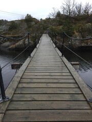 Obraz premium wooden bridge in the forest