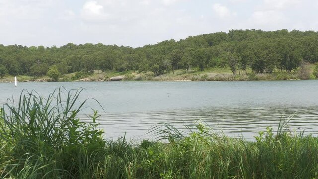 Cropped steady shot of a lake with soft ripples of water flowing toward the grassy bank