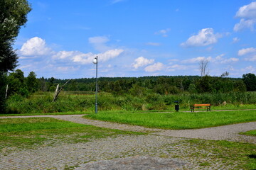 A view of a public park located next to a vast and shallow river or lake with its coast covered with reeds and other flora and with some pavement or walkway located nearby seen on a sunny summer day