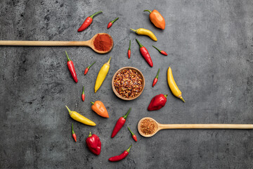 Fototapeta na wymiar Variety of fresh and dried chili peppers