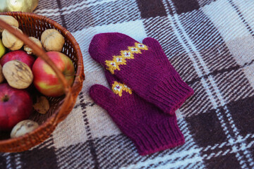 Cozy winter stylish mittens with pattern