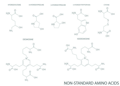 Non-standard amino acid molecular skeletal chemical formula.