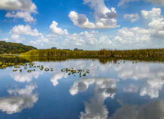 View of everglades marsh with reflected cloud sky.