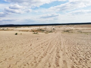 Sandy areas. Błedowska Desert. Poland. Beautiful landscape.