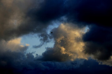 birds,sky and clouds