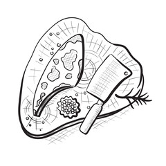 Raw meat, an ax and spices on a wooden board. Hand drawn vector illustration.