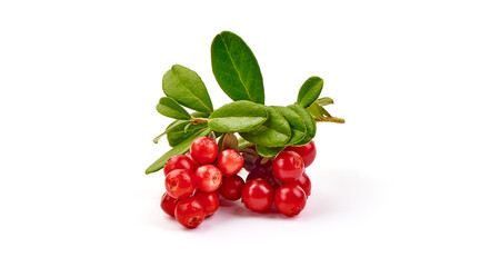 Fresh lingonberry with leaves, isolated on white background.