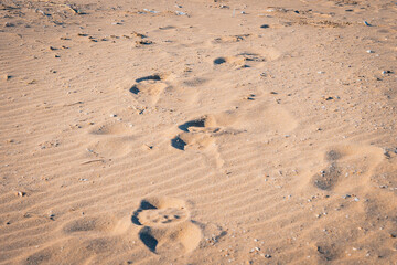Fototapeta na wymiar Odcisk buta, podeszwy na piasku, plaża.