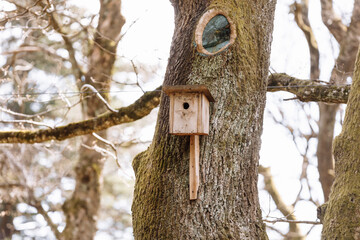 Autumn landscape - a bird feeder in the form of a house hanging on a tree against a background of yellow autumn foliage