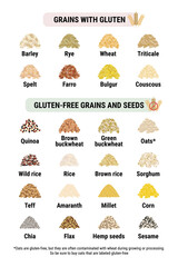 Gluten-free and containing gluten grains infographic. Healthy and unhealthy grains and seeds by celiac disease. Vertical format. Wheat, barley, rye, triticale. Hand drawn vector illustration