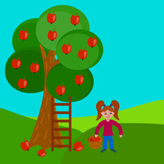 Cute cartoon girl in flat style harvesting apples from an apple tree.