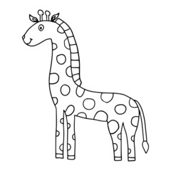 Cartoon doodle linear giraffe isolated on white background. Childlike style.