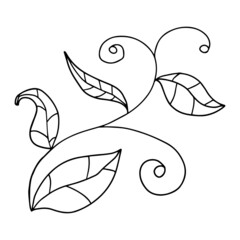 Abstract doodle cartoon floral divider isolated on white background. Sprouts with leaves and berries.