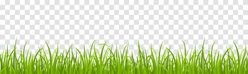 Realistic green grass. Vector set of seamless fresh grass meadow border, lawns, field isolated on transparent background. Spring or summer lawn panoramic landscape. Horizontal herbal background