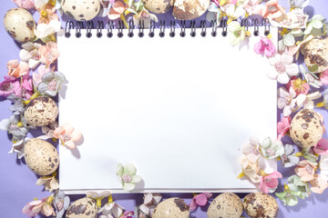Spring Easter background, with small Easter eggs decoration, spring blossom flowers on violet very peri color background flatlay frame 
