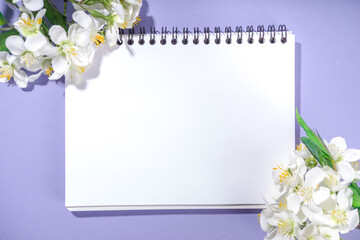 Spring Easter background, with small Easter eggs decoration, spring blossom flowers on violet very peri color background flatlay frame 