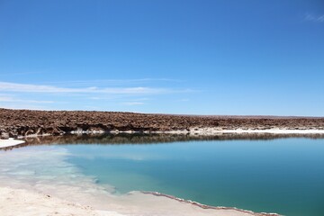 Hidden lagoons Baltinache (Lagunas Escondidas de Baltinache) Atacama Desert, Chile. South America.