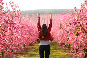 Excited woman raising arms in a flowered field in spring