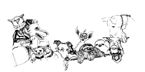 Obraz premium Banner con cornice di animali vari in bianco e nero, disegno a mano libera isolato su sfondo ianco