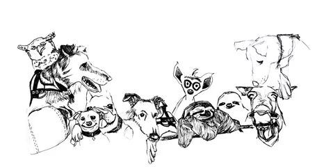 Fotobehang Banner con cornice di animali vari in bianco e nero, disegno a mano libera isolato su sfondo  ianco © sommaria