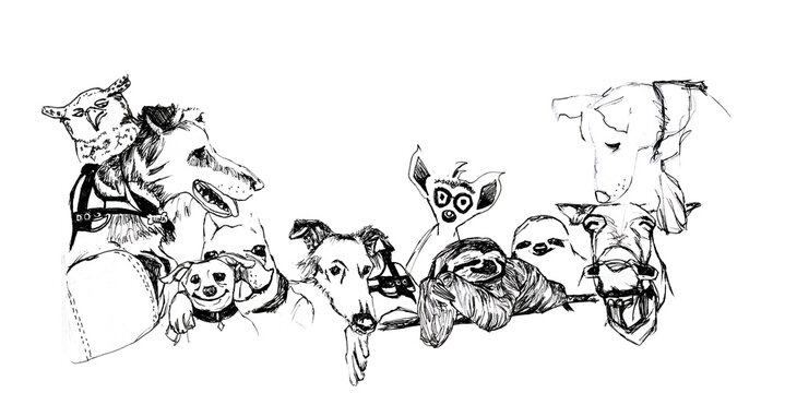 Banner con cornice di animali vari in bianco e nero, disegno a mano libera isolato su sfondo  ianco