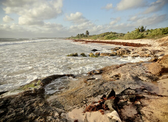 Fototapeta na wymiar Rocky Shore Beach Landscape with Waves