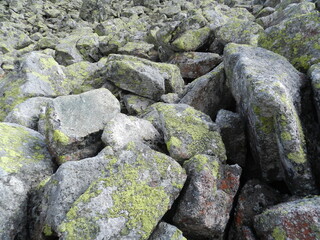 Stones and rocks. An old crumbling wall with a beautiful, rough structure. 