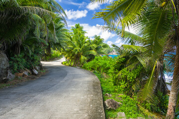 Fototapeta premium A road near Police bay on Mahe island in Seychelles.